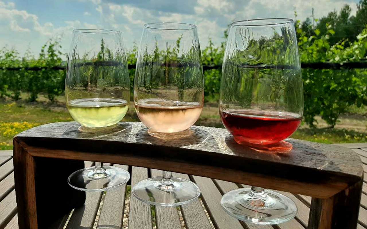 Kin Winery Wineries near Ottawa | Destination Ontario