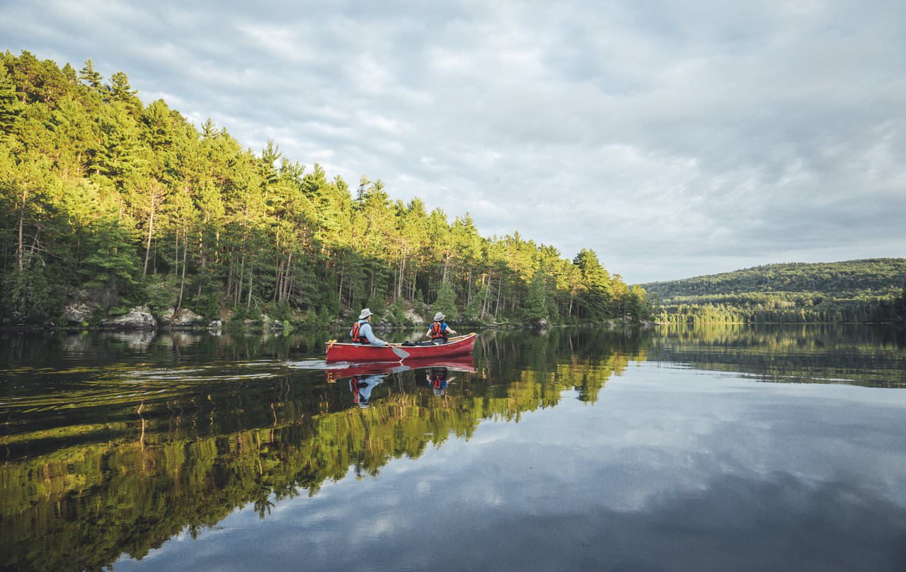 Two people paddling in a canoe surrounded by trees