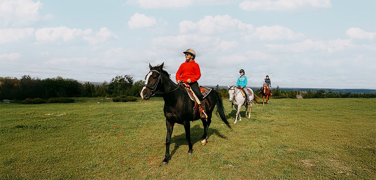 Where to go horseback riding | Destination Ontario