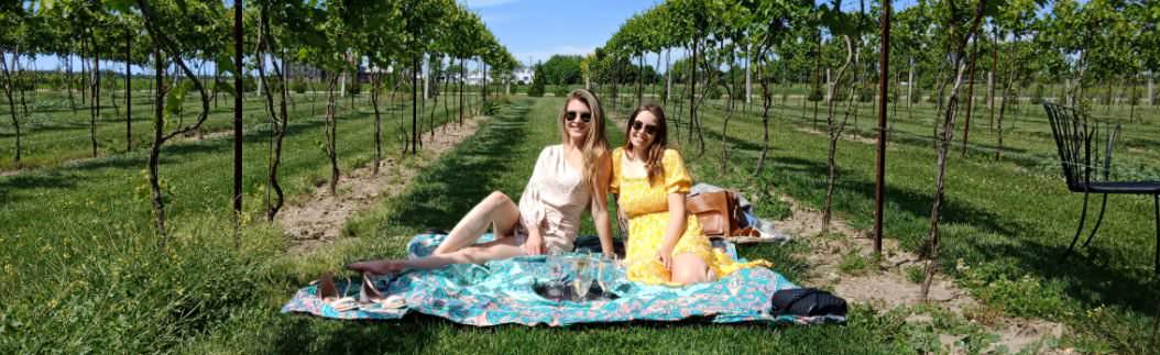 Ein Paar picknickt mitten in einem Weinberg.