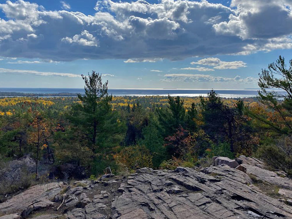 Wunderschöne Aussicht auf den Wald von einem felsigen Aussichtspunkt