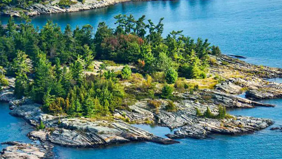Rich green forest on the rocky islands and shoreline of Georgian Bay.