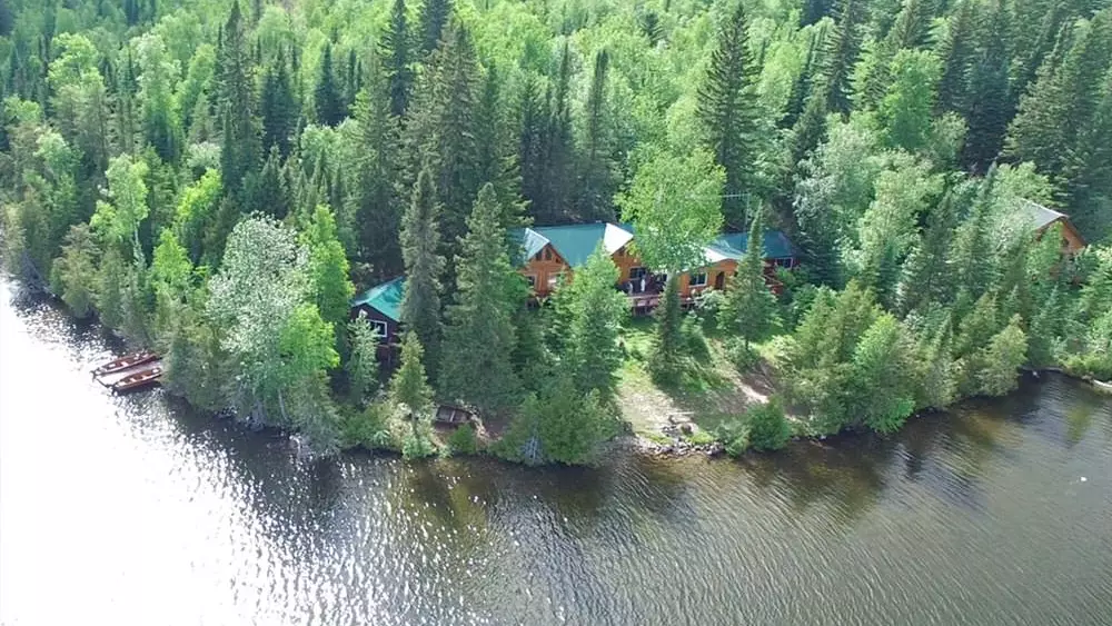 숲으로 둘러싸인 호수 가장자리에 있는 소박한 낚시 오두막의 공중 사진