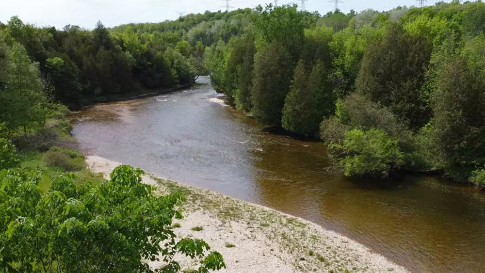 나무 사이로 흐르는 강.