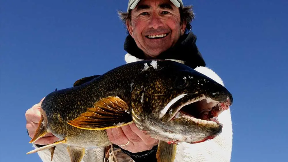 A man holds up a Lake Trout caught on ice fishing