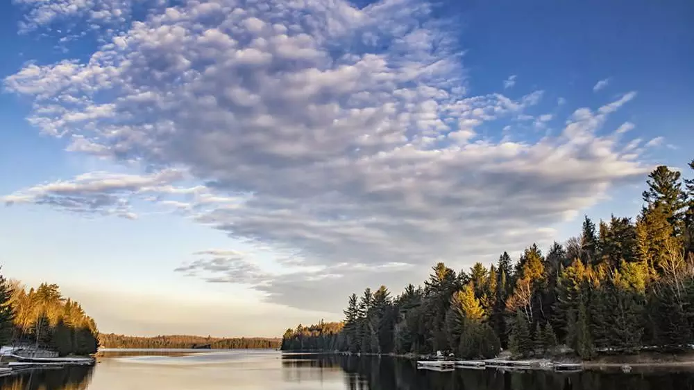 Un lago tranquilo rodeado de un bosque iluminado por el sol bajo un cielo azul y suaves
