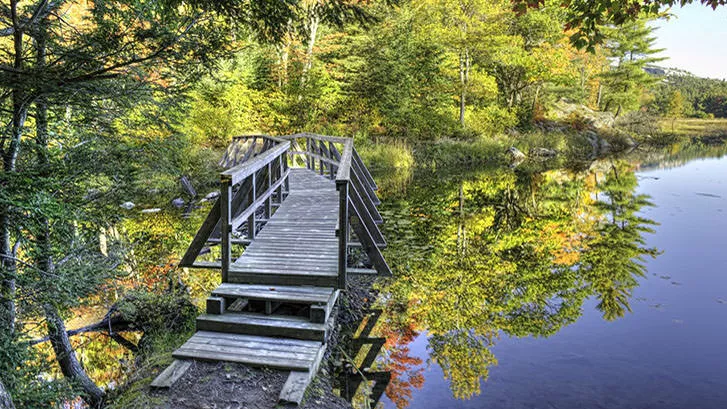 Eine Holzbrücke über einen stillen Fluss, umgeben von Bäumen