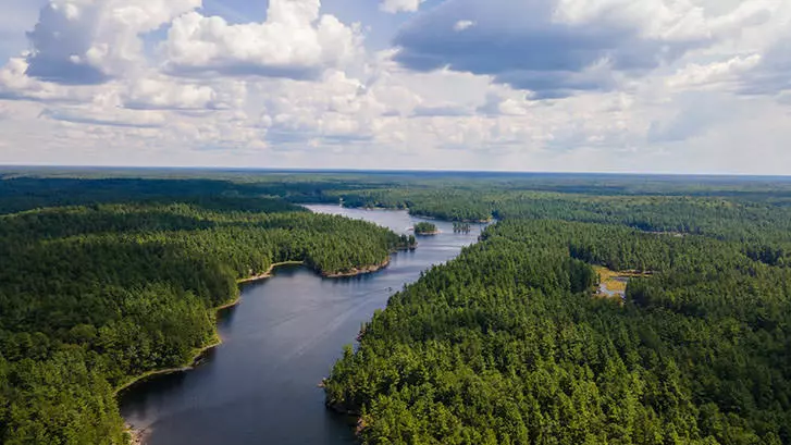 Aerial view of a river cutting through a forested area