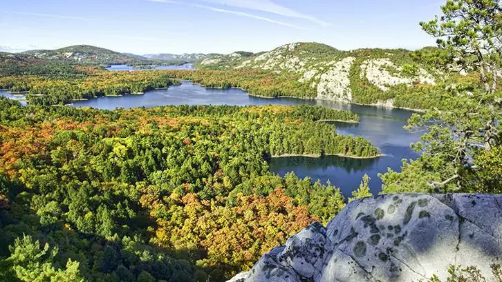 森に囲まれた湖の鳥瞰図。