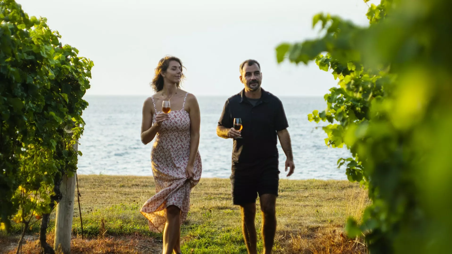 Eine Frau und ein Mann gehen zwischen Weinreben in einem Weinberg