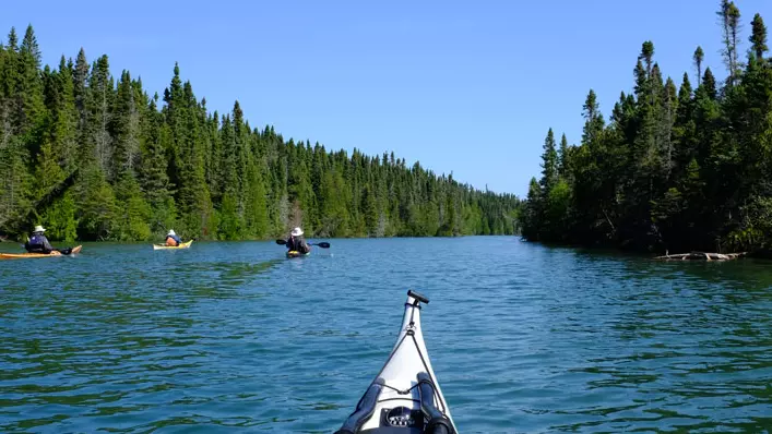 A kayak points towards a wide river surrounded by forest.