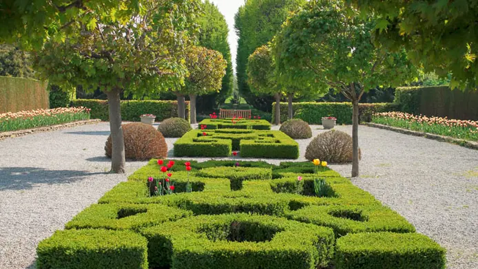 정원의 잘 가꾸어진 푸른 관목