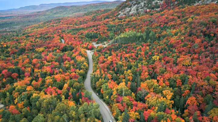 Luftaufnahme einer Straße, die sich durch einen herbstlich gefärbten Wald schlängelt.