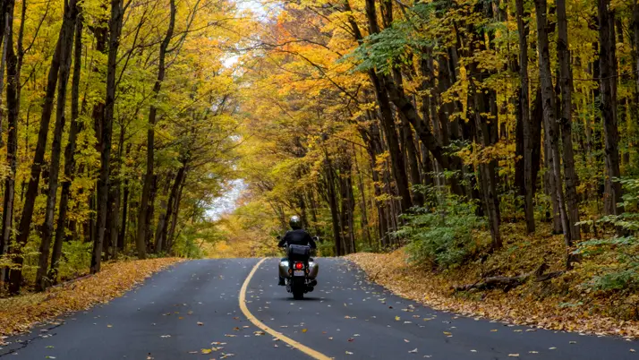가을에 나무가 늘어선 도로를 혼자 오토바이를 타고 달리는 모습.