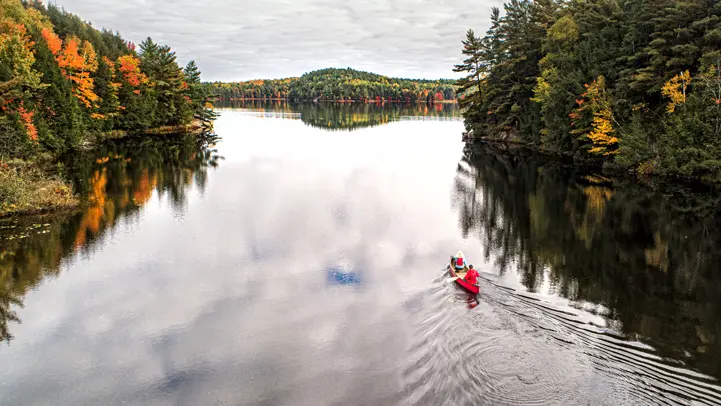 가을 단풍과 함께 호수에 비친 구름과 나무의 모습입니다.