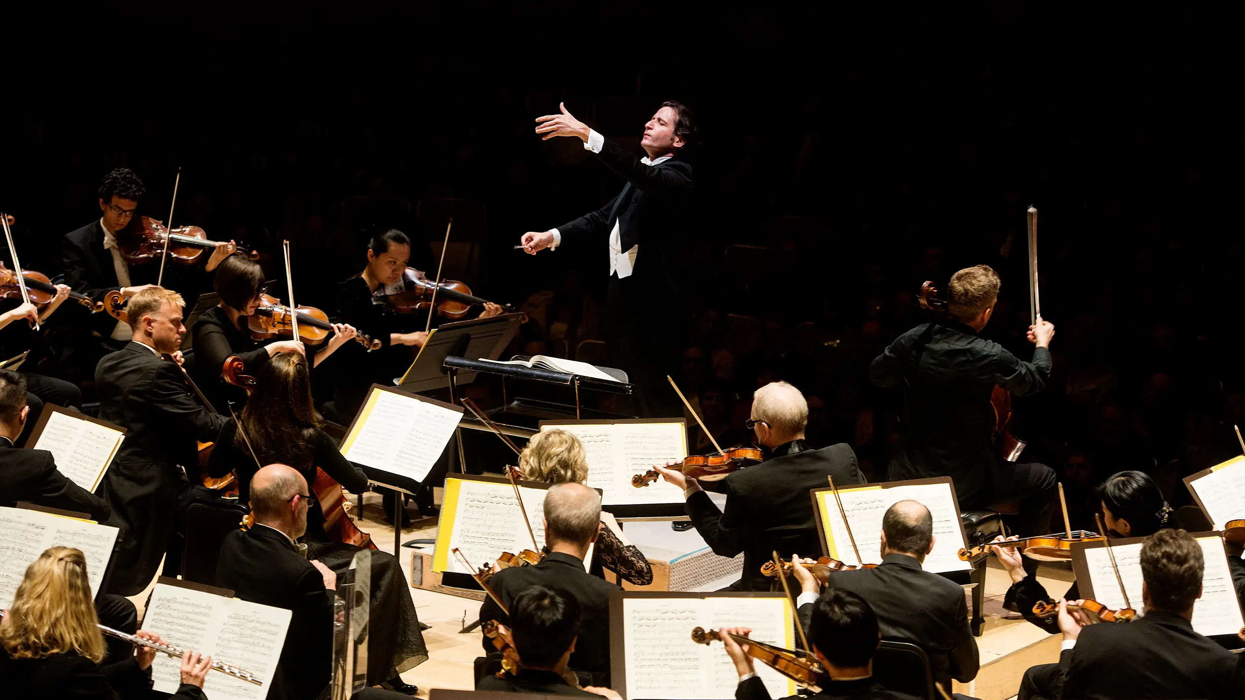 指揮者はフルオーケストラを指揮します。