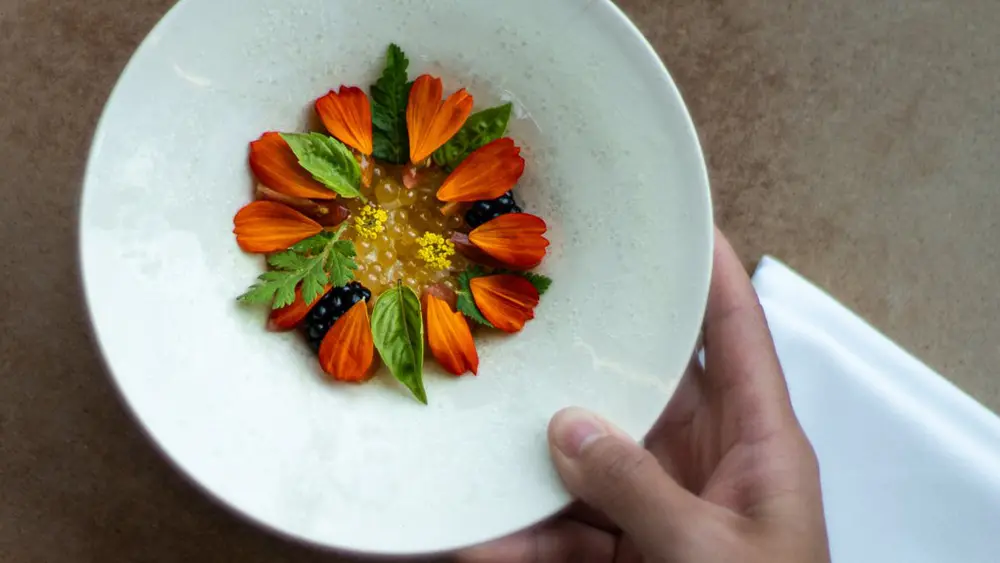 A colourful plate of food served at MICHELIN-starred restaurant, Pearl Morissette.