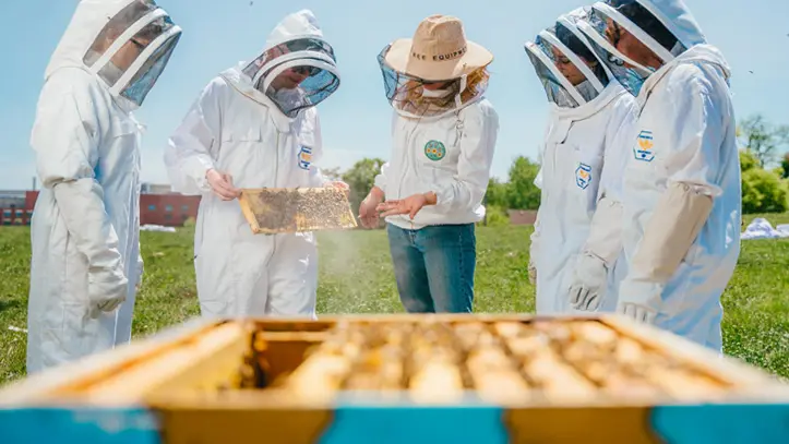 A group of five people inspect a bee hive at LOLA Bees apiary.