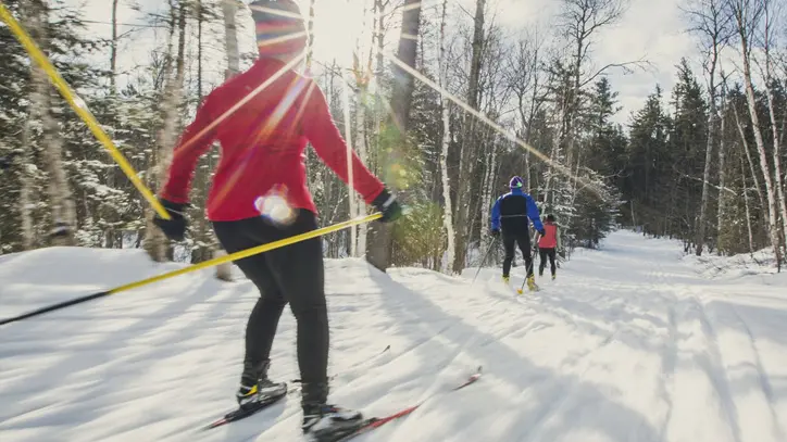 Three people cross-country skiing through a forest near Sudbury.