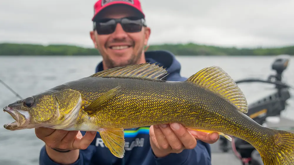 釣りのプロ、ジェフ・ガスタフソンがウッズ湖で釣ったウォールアイを掲げている。