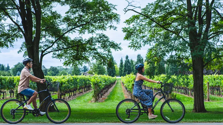 나이아가라 온 더 레이크의 무성한 푸른 나무와 포도밭에 둘러싸인 경치 좋은 포도밭을 여유롭게 자전거로 달리는 두 사람.
