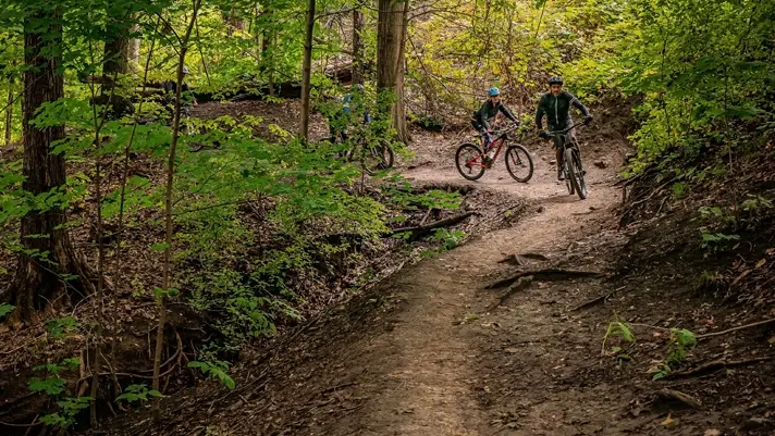 Tres ciclistas de montaña recorren la curva de un sendero de tierra en un frondoso bosque.