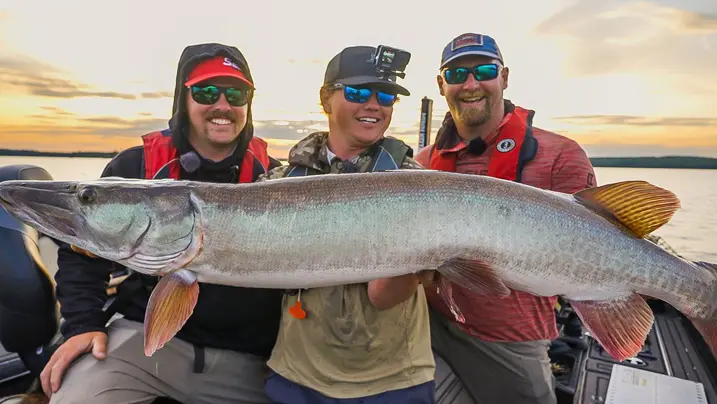 Drei Männer halten bei einem Herbst-Angelausflug im Nordwesten Ontarios einen Trophäenfang hoch.