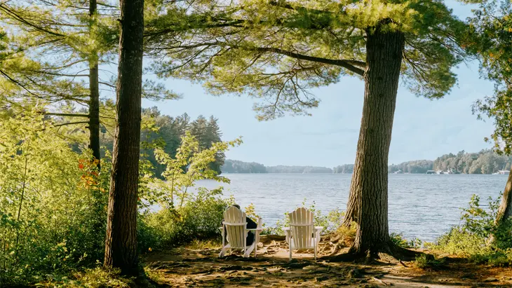 Deux fauteuils Muskoka blancs placés face au lac et entourés de grands pins et de verdure au Sherwood Inn.