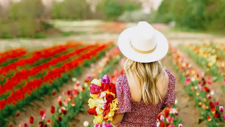 Eine Frau mit einem weißen Hut und einem Strauß bunter Tulpen in der Hand blickt auf die TASC Tulip Pick Farm in Niagara-on-the-Lake.