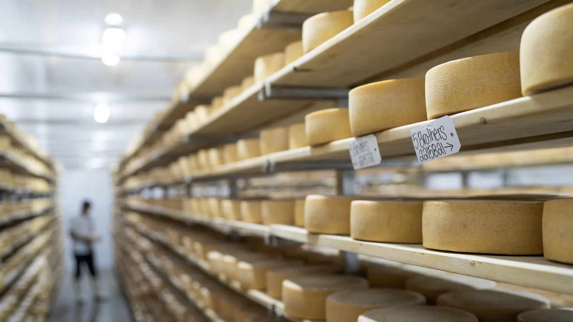 건스힐 아티산 치즈 매장의 선반에는 치즈 덩어리가 가득합니다.