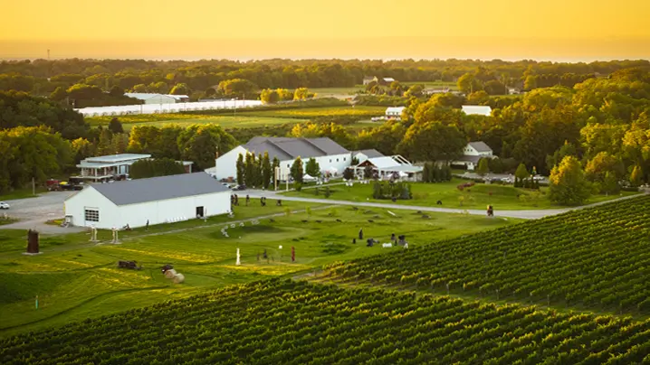 Das malerische Anwesen der 13th Street Winery mit gepflegten Rasenflächen liegt gegenüber von Reihen von Weinbergen.
