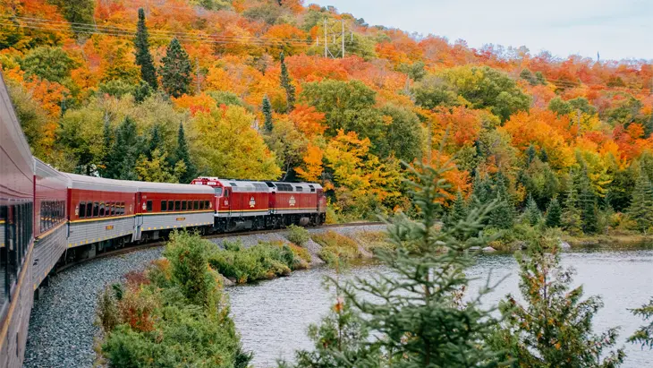 El tren turístico del Cañón Agawa avanza por las vías del tren junto a un lago y pasa por un bosque de colores otoñales.