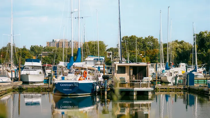 A busy marina with many white and blue boats at the Frenchman's Bay Marina in Pickering, Ontario.