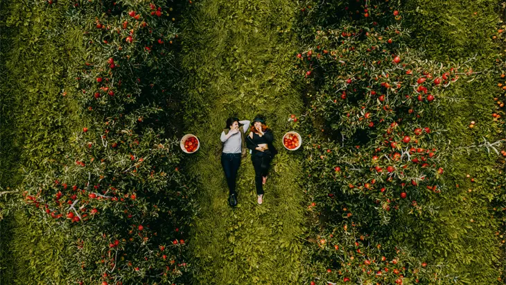 Vue aérienne de deux filles allongées sur l’herbe dégustant des pommes fraîchement cueillies.