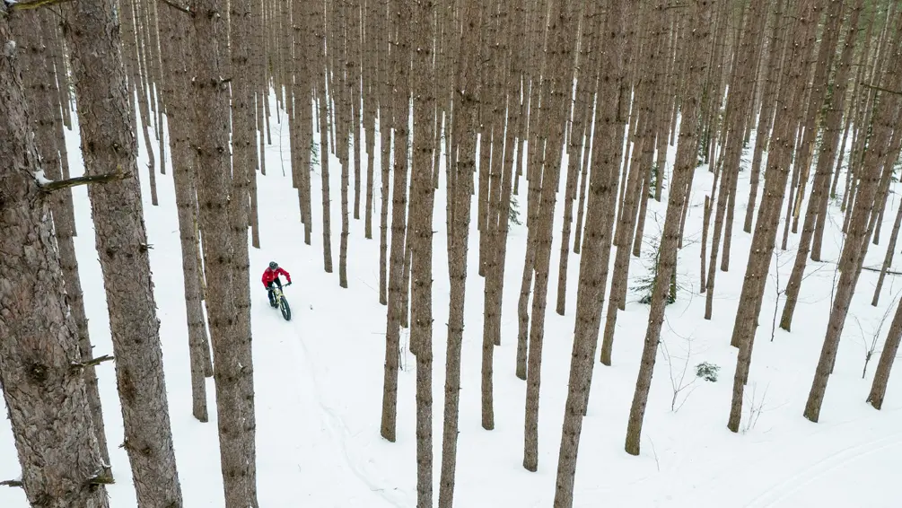 Una persona andando en bicicleta gorda por el bosque nevado en Hiawatha Highlands.