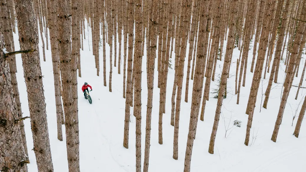 Eine Person fährt mit dem Fatbike durch den verschneiten Wald in Hiawatha Highlands.