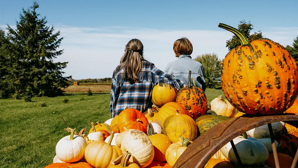 Dos figuras se sientan en un tractor junto a una serie de calabazas coloridas con vistas a campos verdes y árboles frente a ellas.