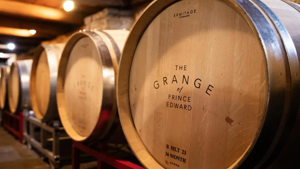 Rangée de tonneaux de vin sur des lattes de bois dans la cave à vin de l’établissement vinicole The Grange of Prince Edward.