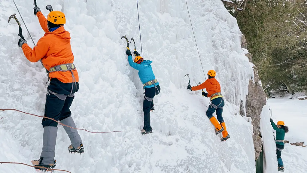 Four people in helmets and winter gear ice climb a frozen wall, using ropes and ice axes in a snowy forest.