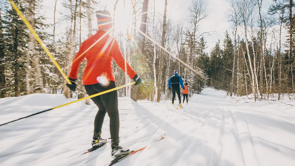 Une femme fait du ski de fond sur une piste bien entretenue dans la forêt.
