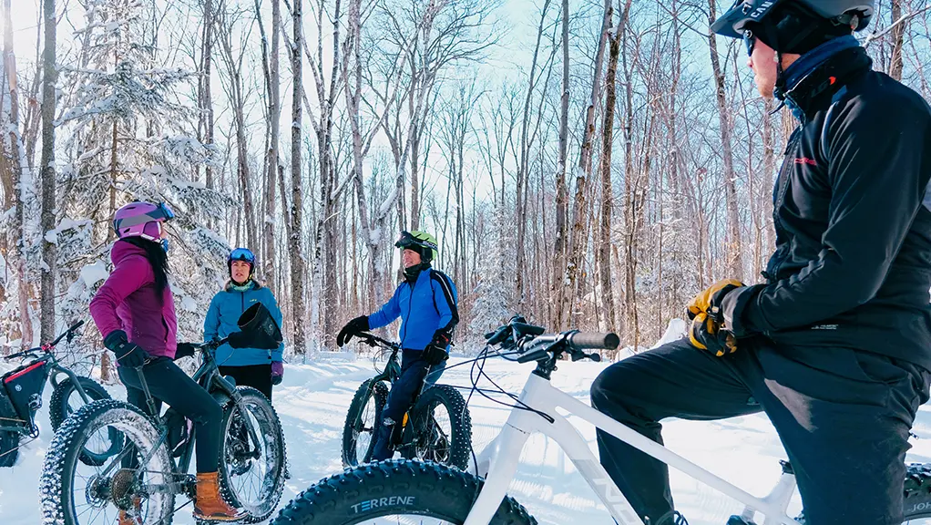 Groupe de personnes en vélos à pneus surdimensionnés dans un sentier boisé enneigé.