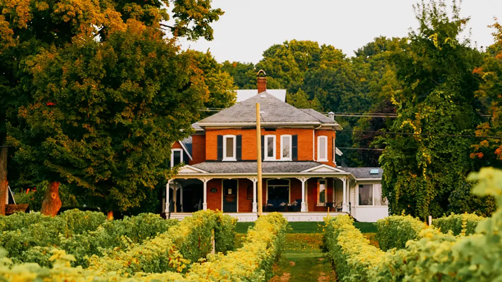 Gran casa rural histórica rodeada de viñedos y vegetación.
