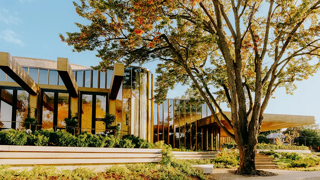 Modern theatre building with a glass facade beside a large leafy tree.