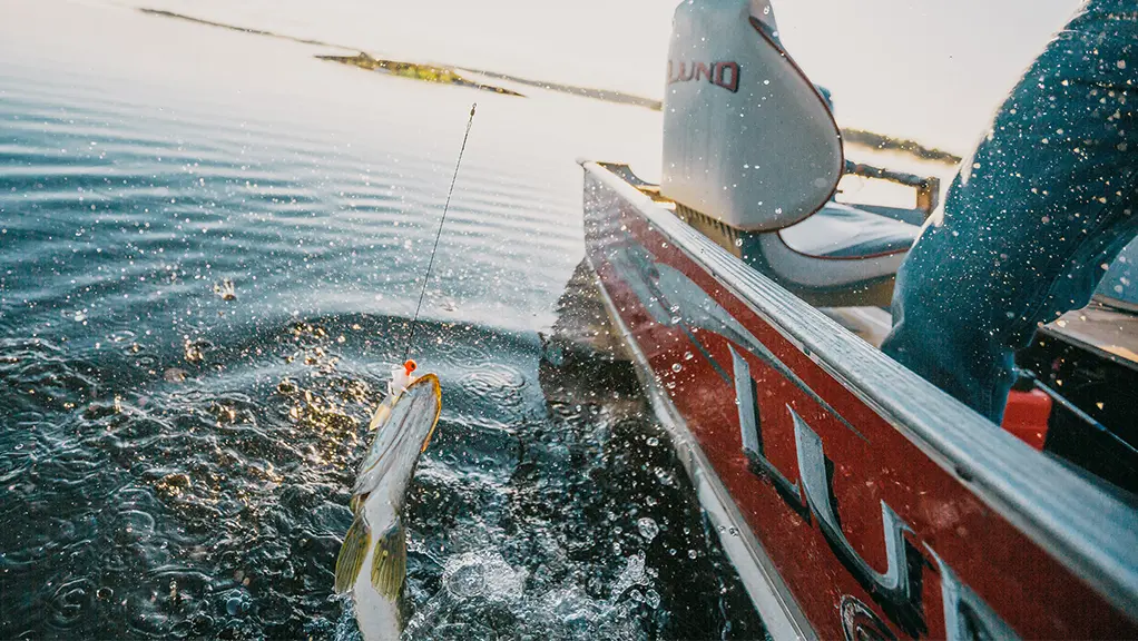 A fish splashing at the water surface beside a small boat as it is being reeled in.