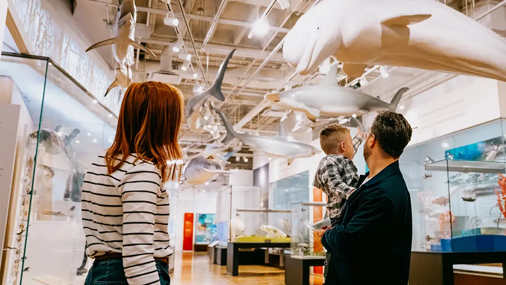 Family exploring the ocean life gallery with suspended whale and marine animal models at the Royal Ontario Museum in Toronto.