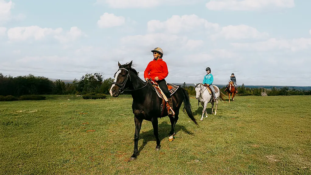 Trois personnes à cheval dans un champ à perte de vue, sous un ciel nuageux.