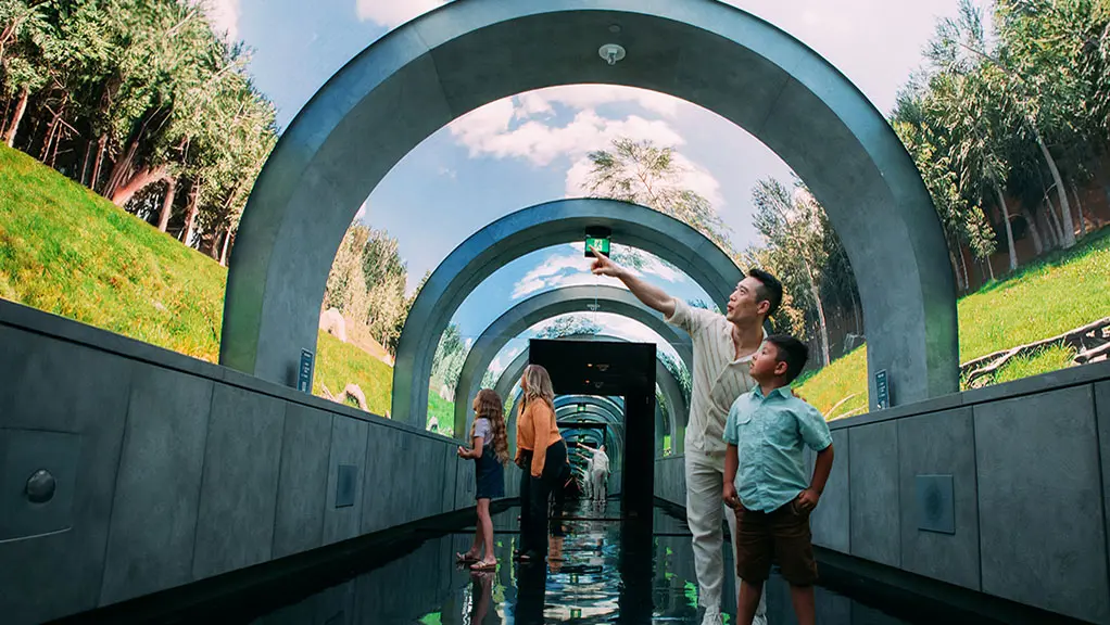 Besucher bewundern die Projektion im Tunnel.