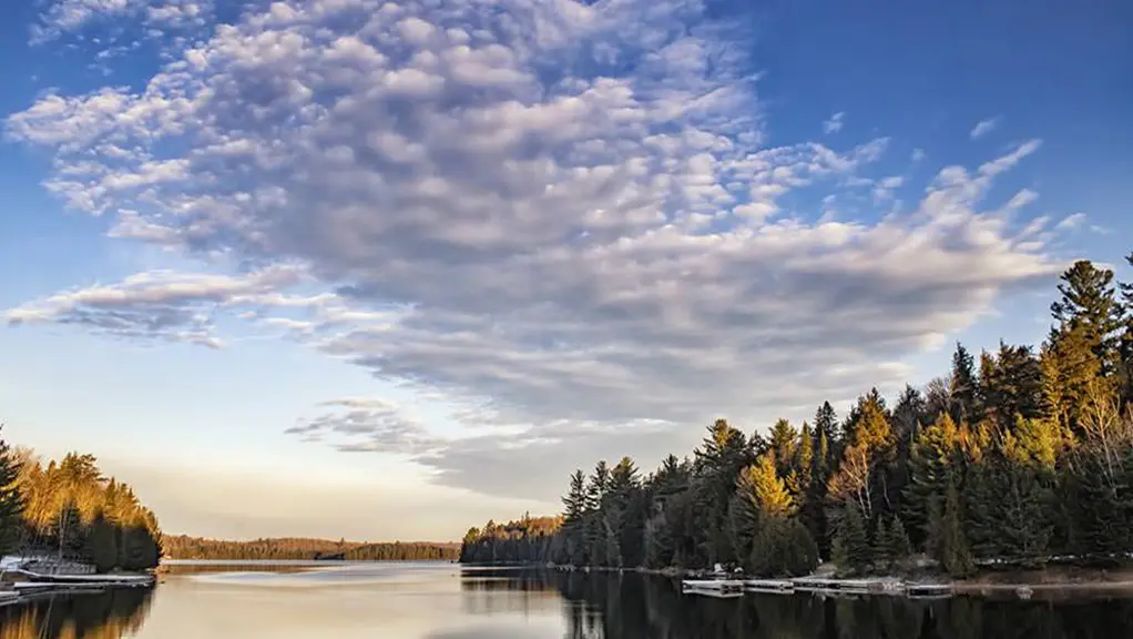 A calm lake surrounded by a sunlit forest under a blue sky.