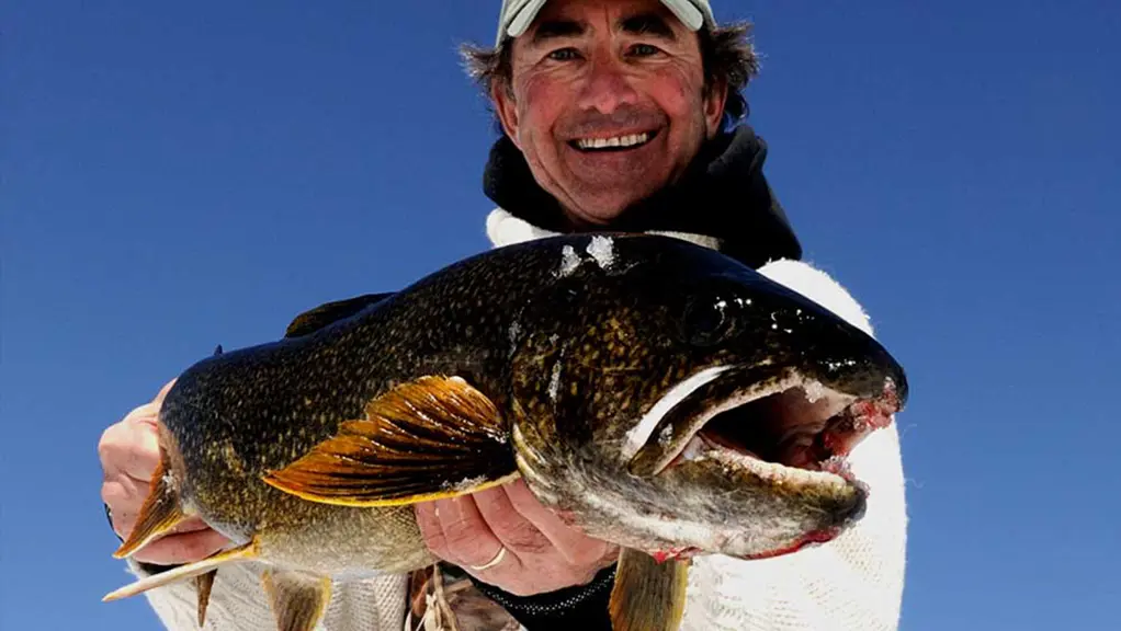 Un hombre sostiene una trucha de lago capturada pescando en el hielo.
