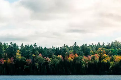 Big white clouds above a colourful forest